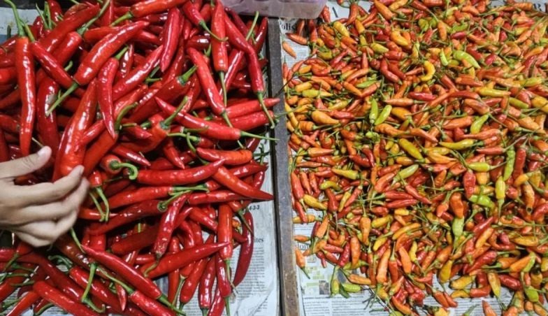 Bapanas: Harga cabai rawit Rp67.171/kg, bawang merah Rp40.943/kg Bapanas: Harga cabai rawit Rp67.171/kg, bawang merah Rp40.943/kg