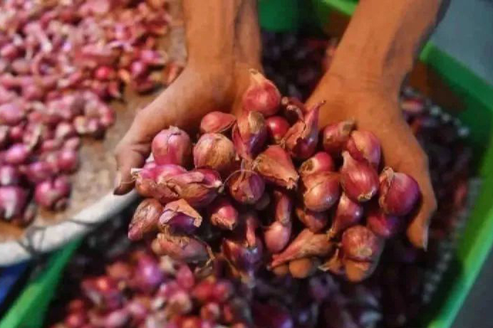 Bapanas: Harga cabai rawit Rp65.247/kg, bawang merah Rp42.575/kg Bapanas: Harga cabai rawit Rp65.247/kg, bawang merah Rp42.575/kg