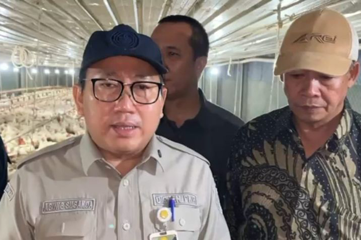 Kementan pastikan tindak pihak yang tidak patuhi aturan HPP ayam hidup Kementan pastikan tindak pihak yang tidak patuhi aturan HPP ayam hidup
