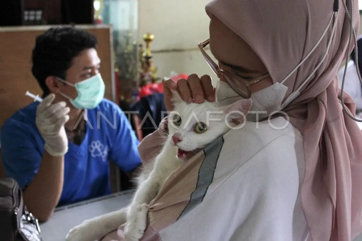 Dinas KPKP DKI klarifikasi soal isu BPJS hewan Dinas KPKP DKI klarifikasi soal isu BPJS hewan