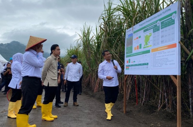 Wapres pastikan pemerintah dukung petani capai swasembada gula