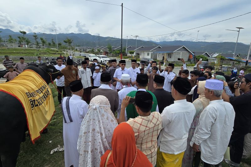 Menteri P2MI: Kurban dari presiden tanda cinta untuk rakyat Menteri P2MI: Kurban dari presiden tanda cinta untuk rakyat