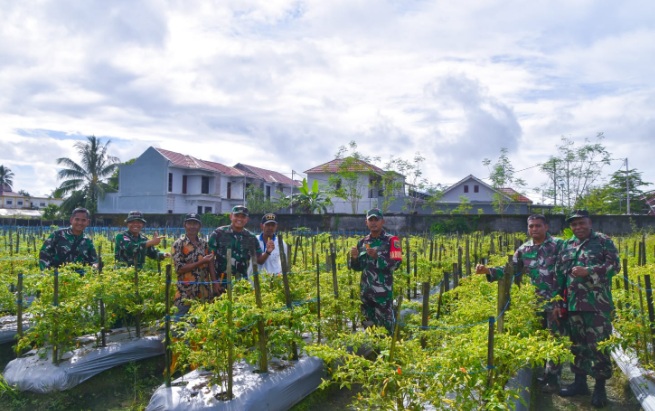 Dandim 1710/Mimika tinjau ketahanan pangan di lahan percontohan petani binaan Dandim 1710/Mimika tinjau ketahanan pangan di lahan percontohan petani binaan