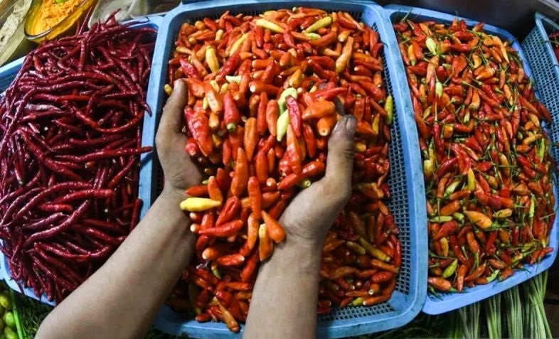 Bapanas: Harga bawang merah Rp43.413/kg, cabai rawit Rp51.962/kg Bapanas: Harga bawang merah Rp43.413/kg, cabai rawit Rp51.962/kg
