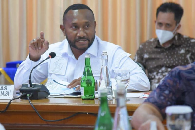 Anggota DPR minta pemerintah tertibkan izin penambangan di Tanah Papua