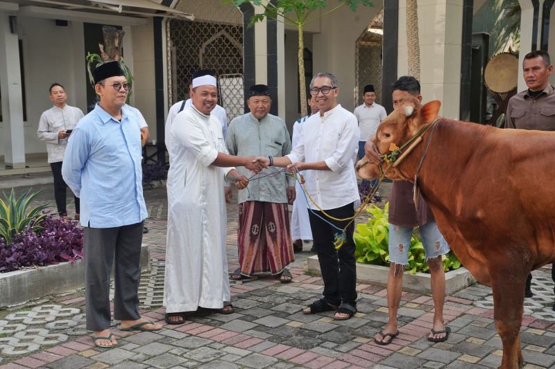 PGN Group bagikan 955 hewan kurban untuk masyarakat PGN Group bagikan 955 hewan kurban untuk masyarakat
