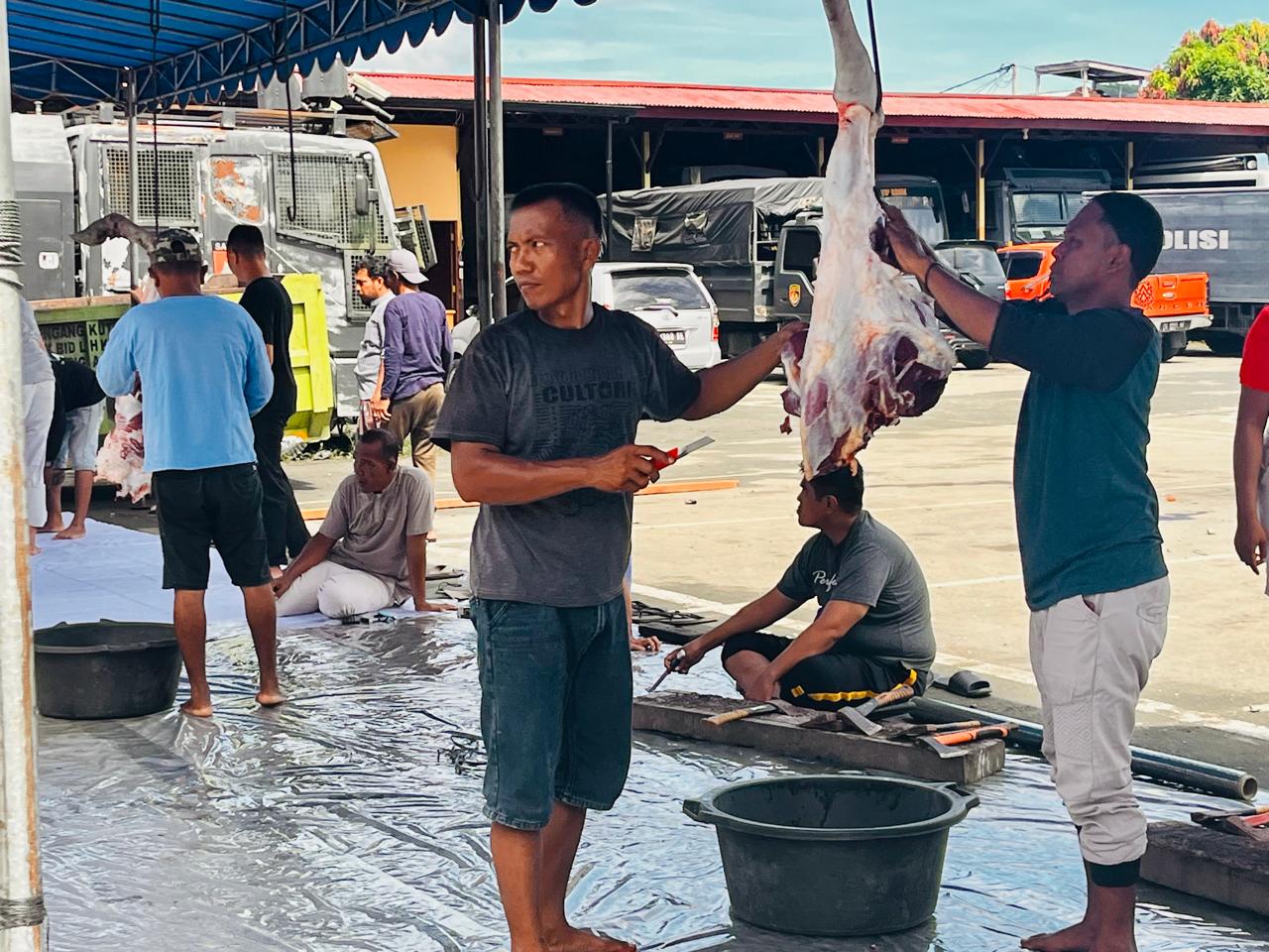 Polres Jayapura bagikan daging hewan kurban kepada 250 warga dan anggota Polres Jayapura bagikan daging hewan kurban kepada 250 warga dan anggota