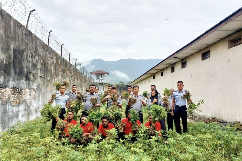 Rutan Lubuk Sikaping panen kacang tanah dukung ketahanan pangan Rutan Lubuk Sikaping panen kacang tanah dukung ketahanan pangan