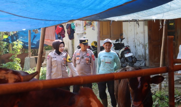 Polres Pemalang imbau peternak dan pedagang waspadai pencurian hewan kurban Polres Pemalang imbau peternak dan pedagang waspadai pencurian hewan kurban