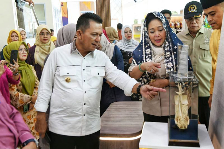 Titiek Soeharto terkesan dengan warisan sejarah Melayu di Kepri Titiek Soeharto terkesan dengan warisan sejarah Melayu di Kepri