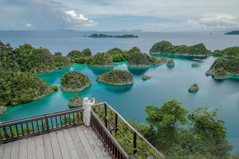 KLH tindak lanjuti tambang Raja Ampat lindungi biodiversitas dunia