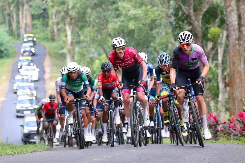 B-Fest jadi payung besar mengorkestrasi pembangunan Banyuwangi