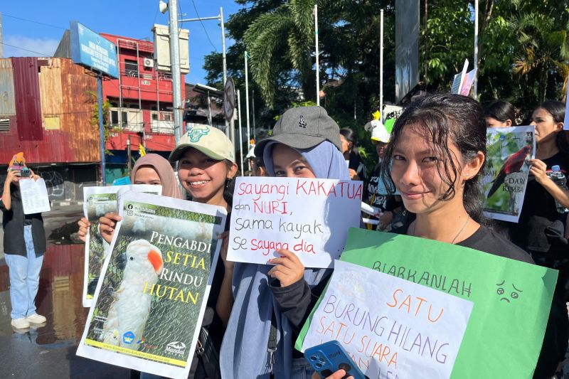 KKI-Unpatti kampanyekan pelestarian burung paruh bengkok di Maluku