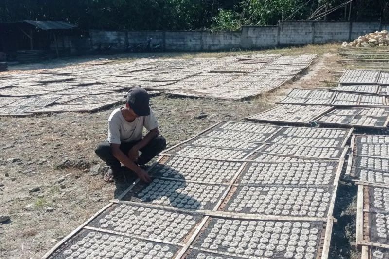 Pelaku UMKM produksi kerupuk di Lebak serap ribuan tenaga kerja Pelaku UMKM produksi kerupuk di Lebak serap ribuan tenaga kerja
