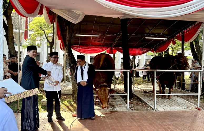 Menko PMK wakili Presiden dan Wapres serahkan sapi kurban ke Istiqlal Menko PMK wakili Presiden dan Wapres serahkan sapi kurban ke Istiqlal