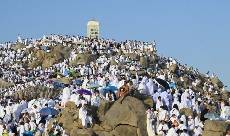 Pemerintah Saudi tangkap 9 orang yang angkut haji ilegal Pemerintah Saudi tangkap 9 orang yang angkut haji ilegal