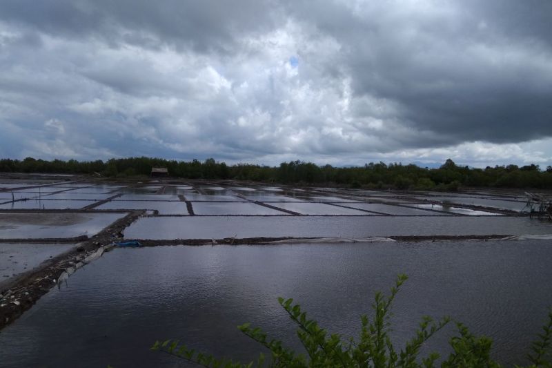 Empat hektare lahan padi di Sinjai terancam gagal panen karena banjir Empat hektare lahan padi di Sinjai terancam gagal panen karena banjir