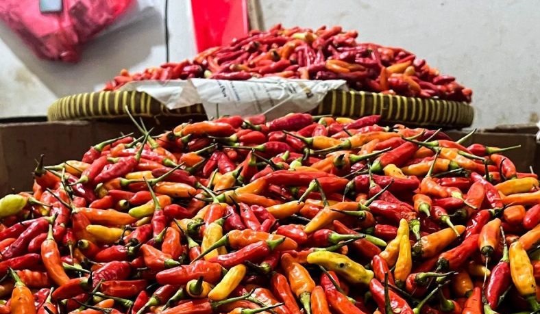 Bapanas: Harga cabai rawit merah Rp50.833/kg saat Idul Adha