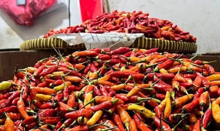 Bapanas: Harga cabai rawit Rp50.963/kg, bawang merah Rp39.642/kg Bapanas: Harga cabai rawit Rp50.963/kg, bawang merah Rp39.642/kg