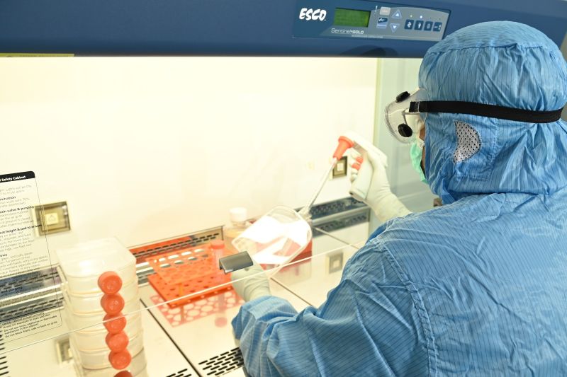Kimia Farma manfaatkan teknologi sel punca untuk penyakit degeneratif Kimia Farma manfaatkan teknologi sel punca untuk penyakit degeneratif
