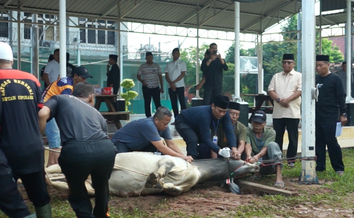 Rutan kelas I Cipinang gelar Sholat Idul Adha dan pemotongan hewan kurban Rutan kelas I Cipinang gelar Sholat Idul Adha dan pemotongan hewan kurban