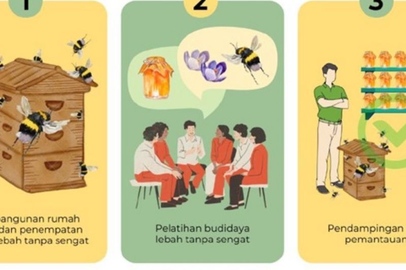Program EduBee UI kembangkan lebah tanpa sengat di pesantren Klaten Program EduBee UI kembangkan lebah tanpa sengat di pesantren Klaten