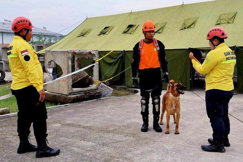 SAR Natuna diperkuat dengan dua pawang anjing pelacak K9