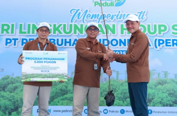 PT Pelindo Regional 3 Sub Regional Kalimantan tanam 5.000 pohon mahoni PT Pelindo Regional 3 Sub Regional Kalimantan tanam 5.000 pohon mahoni