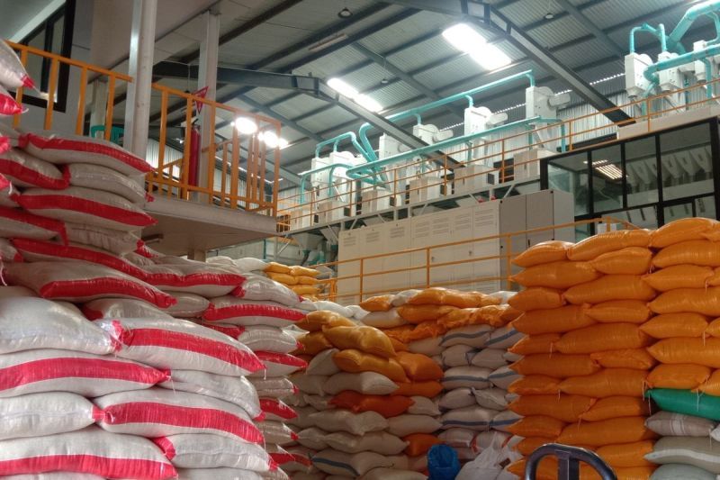 Cadangan beras empat juta ton dinilai buka peluang usaha pergudangan Cadangan beras empat juta ton dinilai buka peluang usaha pergudangan