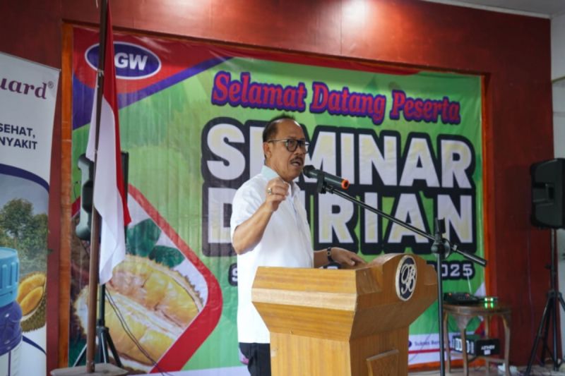 Pemprov Sulbar anggarkan Rp8 miliar untuk pengembangan durian premium