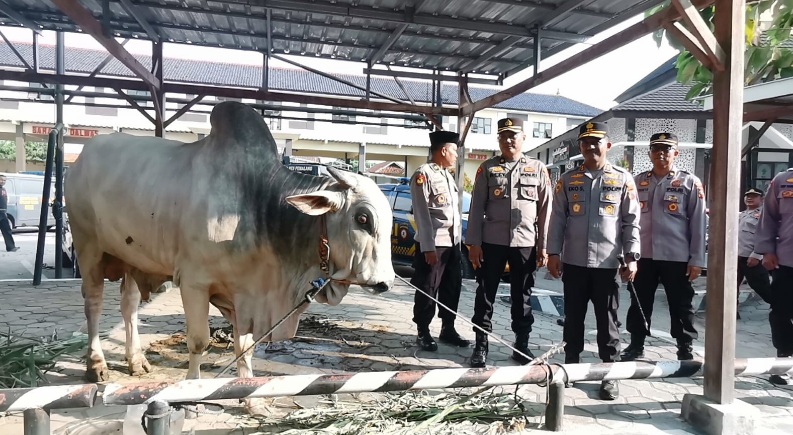 Polres Pemalang pastikan 24 hewan kurban aman dari PMK dan layak konsumsi Polres Pemalang pastikan 24 hewan kurban aman dari PMK dan layak konsumsi