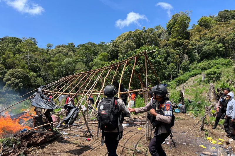 Bareskrim Polri bongkar keberadaan 25 hektare ladang ganja di Aceh Bareskrim Polri bongkar keberadaan 25 hektare ladang ganja di Aceh