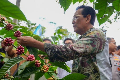 Kementan RI dukung pengembangan komoditas kopi di Sleman Kementan RI dukung pengembangan komoditas kopi di Sleman