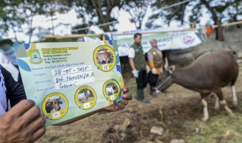 DKP Kota Tangerang ingatkan pentingnya kebersihan kandang hewan kurban DKP Kota Tangerang ingatkan pentingnya kebersihan kandang hewan kurban