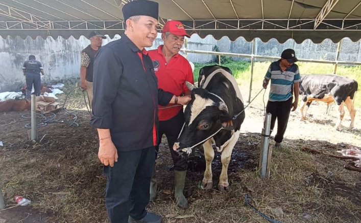 Sebanyak 8 sapi dan 6 kambing disalurkan DPC PDIP Kota Malang ke masyarakat Sebanyak 8 sapi dan 6 kambing disalurkan DPC PDIP Kota Malang ke masyarakat