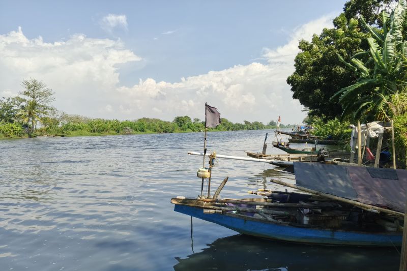 Sungai Ciujung dan tambak warga di Serang tercemar limbah pabrik Sungai Ciujung dan tambak warga di Serang tercemar limbah pabrik