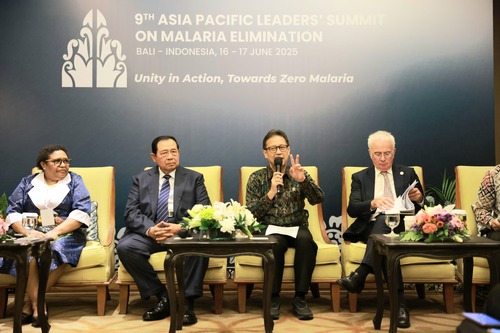 Strategi Kemenkes target bebas malaria di Papua 2030