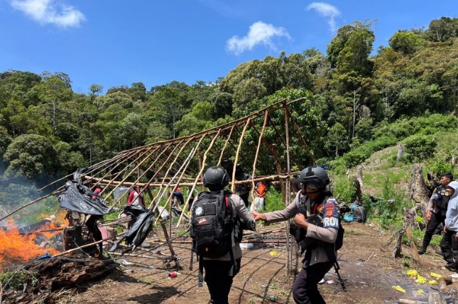Bareskrim Polri bongkar keberadaan 25 hektare ladang ganja di Aceh Bareskrim Polri bongkar keberadaan 25 hektare ladang ganja di Aceh