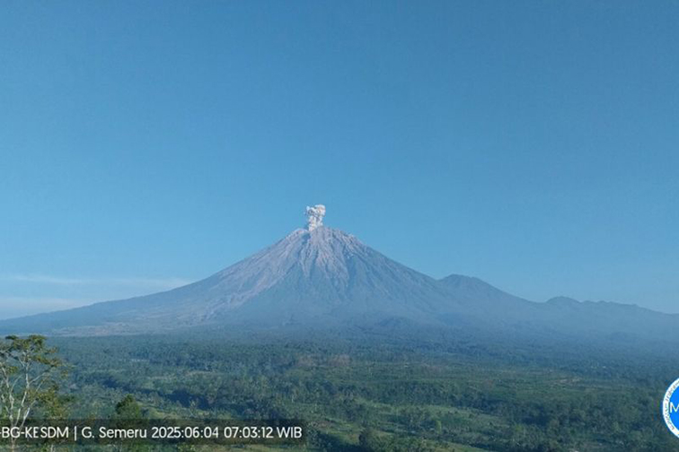 Gunung Semeru erupsi dengan letusan setinggi 800 meter di atas puncak Gunung Semeru erupsi dengan letusan setinggi 800 meter di atas puncak