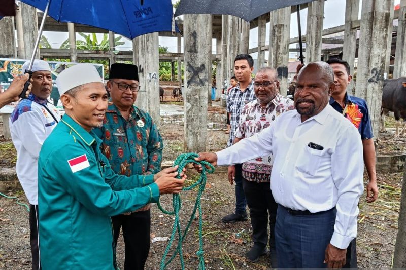Bupati Jayapura apresiasi kurban Presiden bagi umat Muslim daerahnya