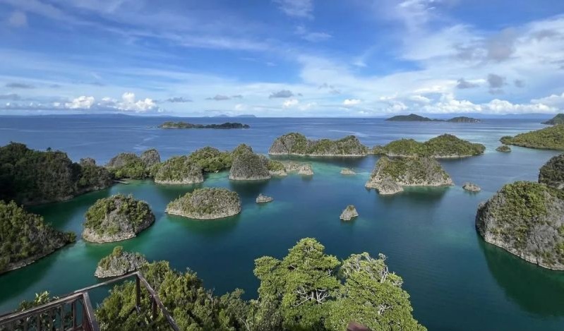 Komisi XII DPR: Pencabutan IUP Raja Ampat demi pertimbangan lingkungan Komisi XII DPR: Pencabutan IUP Raja Ampat demi pertimbangan lingkungan