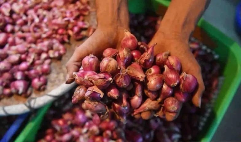 Bapanas: Harga bawang merah Rp42.429/kg, cabai rawit Rp62.857/kg