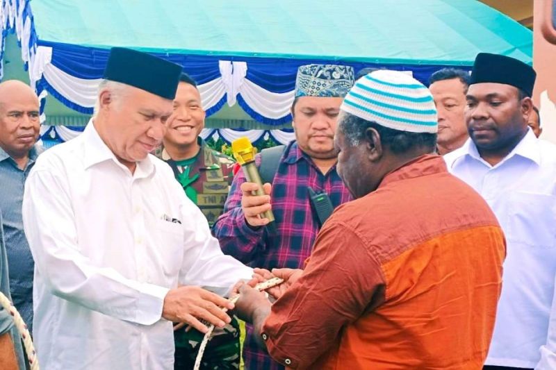 Pemkab Kaimana sumbang 33 ekor sapi untuk Idul Adha Pemkab Kaimana sumbang 33 ekor sapi untuk Idul Adha