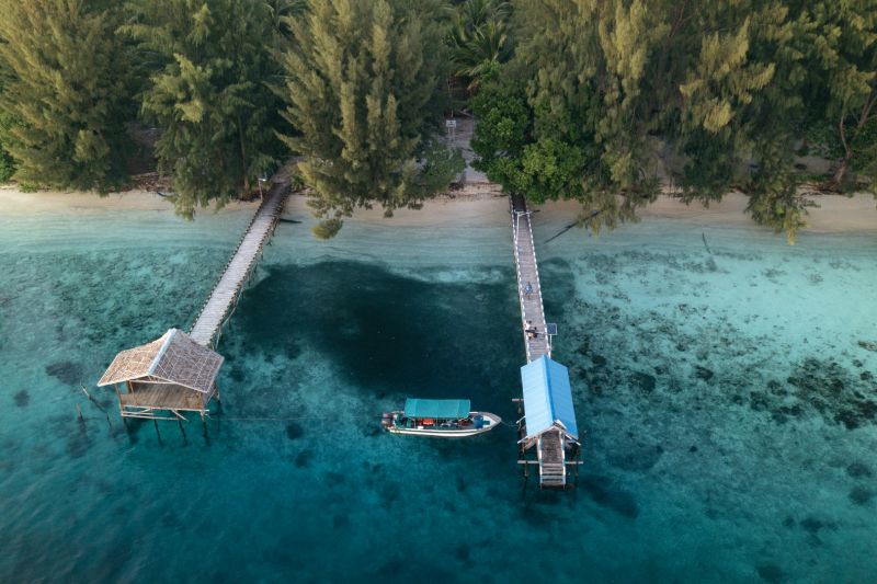 KI soroti nilai ekologis Raja Ampat dan dampak besar jika rusak KI soroti nilai ekologis Raja Ampat dan dampak besar jika rusak