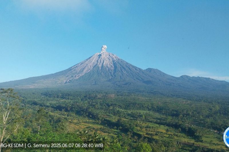 Lima kali erupsi Gunung Semeru dengan tinggi letusan hingga 900 meter Lima kali erupsi Gunung Semeru dengan tinggi letusan hingga 900 meter
