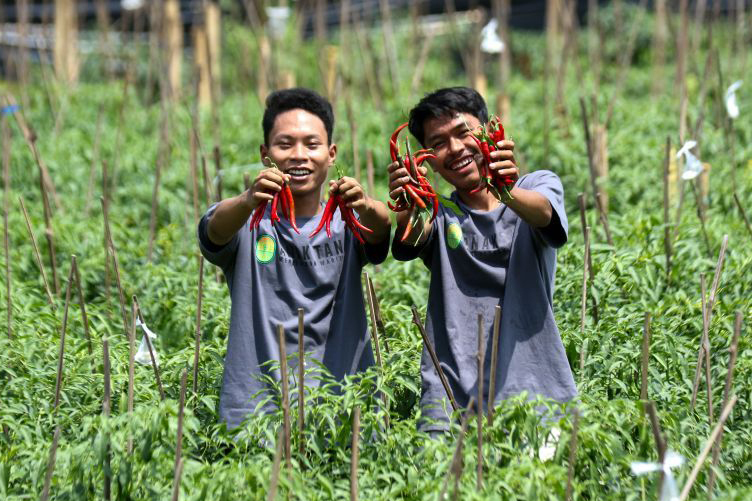Saatnya fokus pada alih generasi petani Saatnya fokus pada alih generasi petani