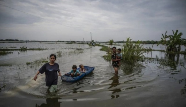 Tanggul Sungai Tuntang jebol picu banjir berkepanjangan di Demak Tanggul Sungai Tuntang jebol picu banjir berkepanjangan di Demak