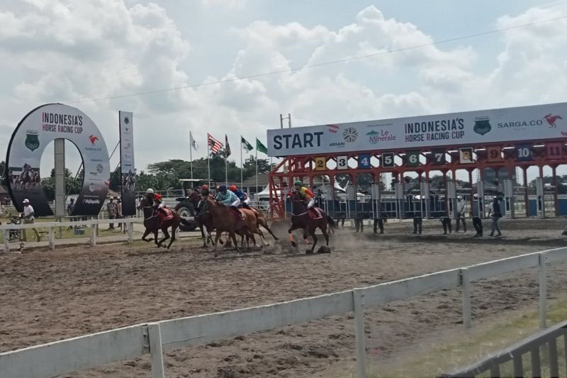 131 kuda se-Indonesia berlaga pada kejuaraan kuda balap di Bantul