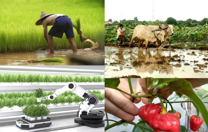 Memantaskan diri sebagai masyarakat negeri agraris Memantaskan diri sebagai masyarakat negeri agraris