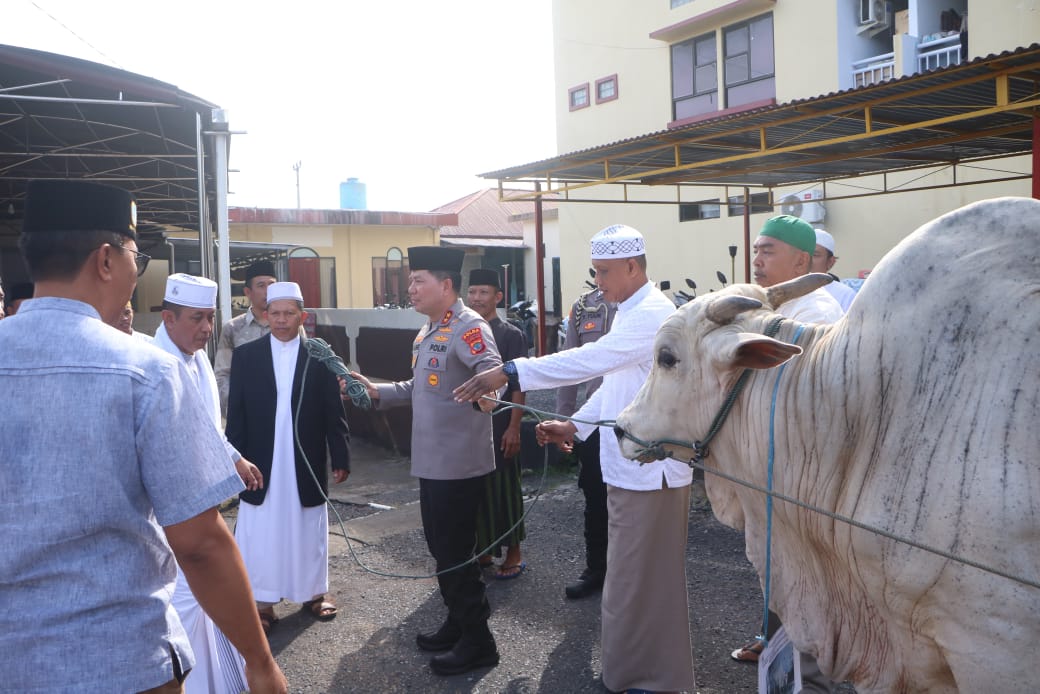 Kapolda Sulut serahkan hewan kurban ke panitia Idul Adha 1446 H Kapolda Sulut serahkan hewan kurban ke panitia Idul Adha 1446 H